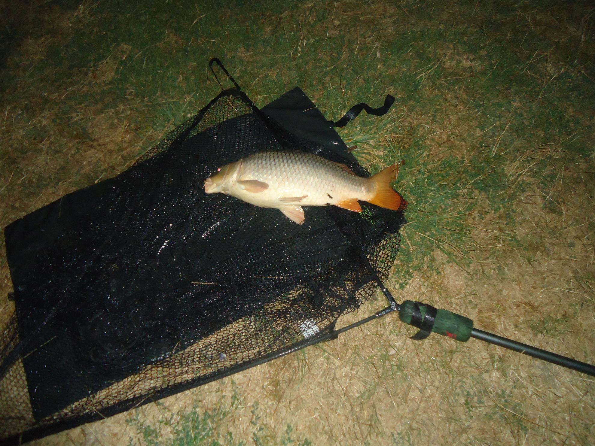 Moara vlasiei 26-27-08-2013 - dsc03889.JPG